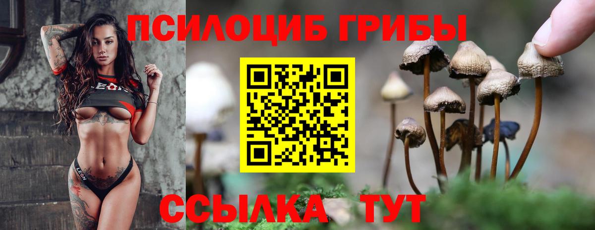 Борисоглебск  Псилоцибиновые грибы мицелий  Вход с VPN  закладка  Галлюциногенные грибы Psilocybe 