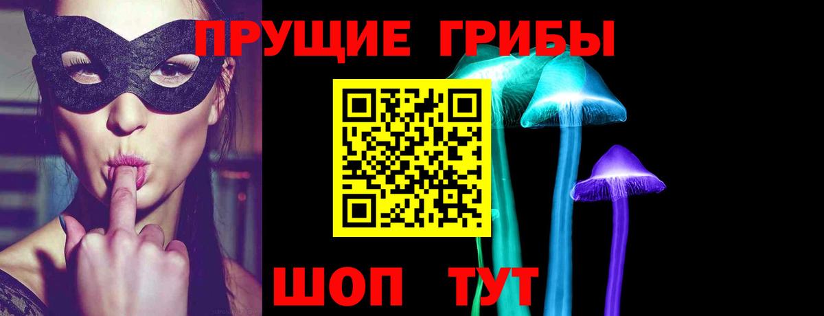 Псилоцибиновые грибы мицелий Борисоглебск